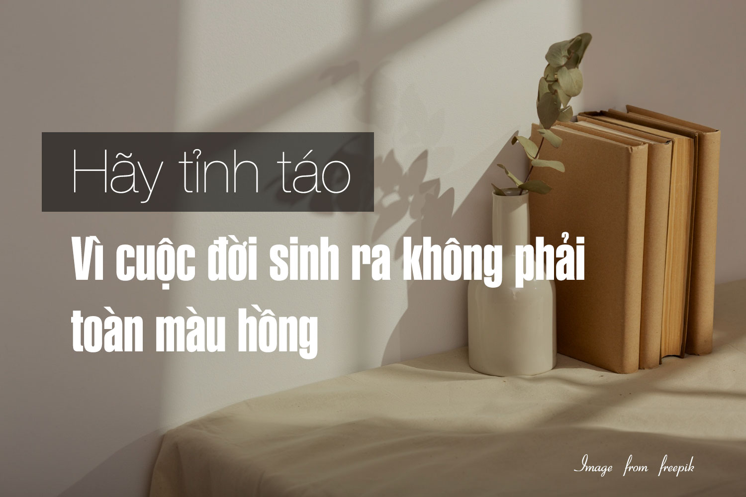 cuộc đời không phải toàn màu hồng